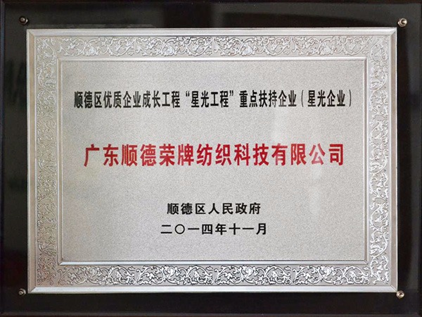 WePoker德州-2012年获顺德政府颁发“星光企业”称号